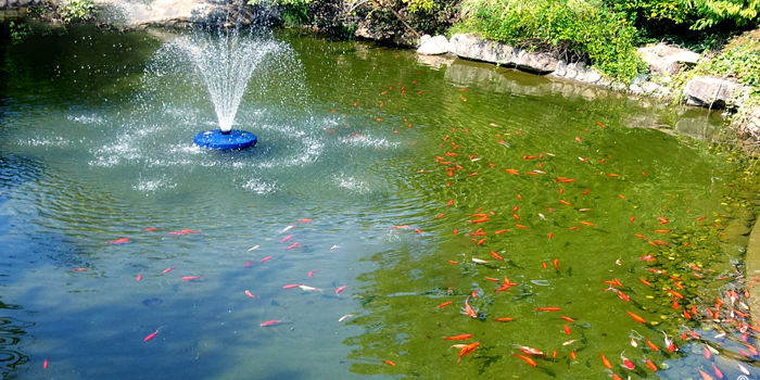 养鱼水处理