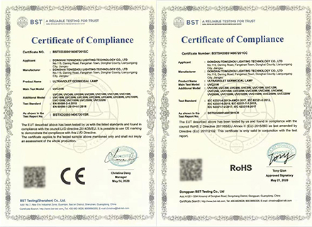 荣誉资质标题五